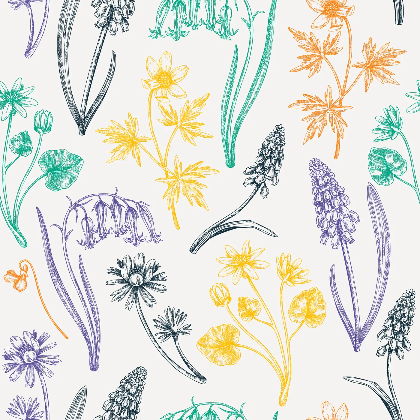 Seamless spring flowers pattern. Hand-drawn wildflowers background. Forest plant and wild flowers illustration. Bluebell, grape hyacinth, muscari, fritillary, winter aconite, wood anemone background Illustration